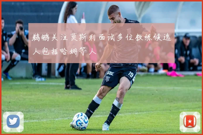 鹈鹕关注莫斯利面试多位教练候选人包括哈姆等人